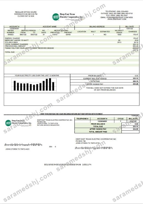USA Deep East Texas Electric utility bill template in Word and PDF format